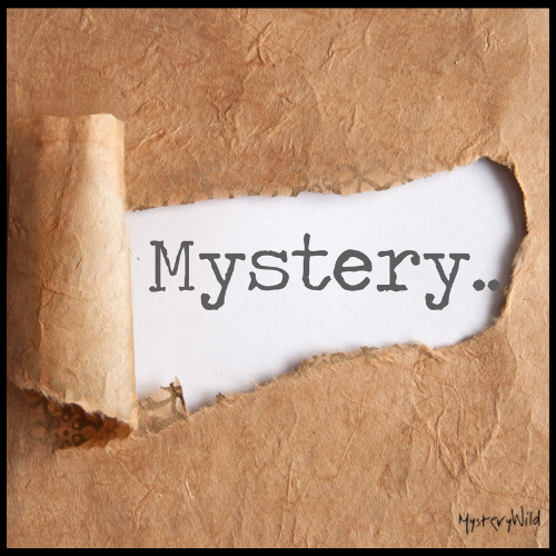 The Future of Murder Mystery Group Games: MysteryWild's 2025 Vision