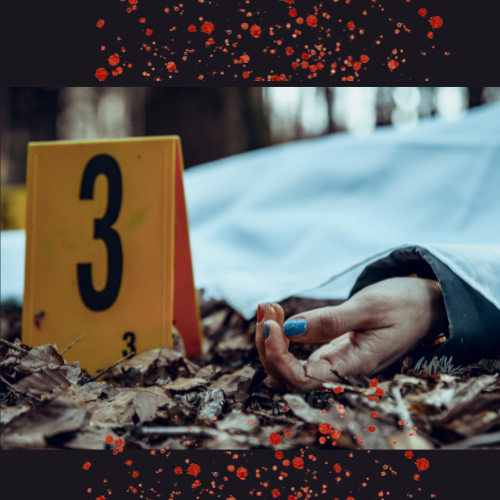 Beyond the Pages: Why True Crime Enthusiasts are Digging Murder Mystery Games